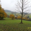 Na úpatí Strážného 27.10.11