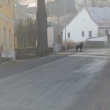 Velc psi pobhaj voln po vsi, hon a trhaj srnky (27.2.2011)