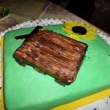16.4.16 vnuka upekla Ire dort (s paletou :-)