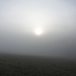 24.2.2015, dnes rno je mlha, ale slunko bude